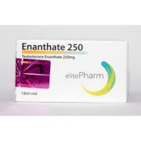 Testo ena 10ml