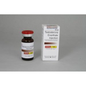 Testosterone Enanthate 10ml vial
